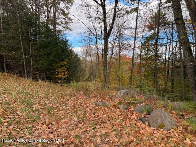 0 North Ridge Extension Windham, NY 12496 - Photo 18 of 28 a backyard of a house with lots of green space