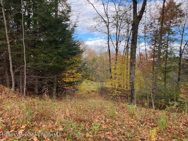 0 North Ridge Extension Windham, NY 12496 - Photo 19 of 28 a view of a pathway of a yard