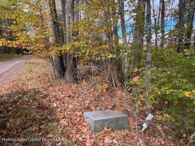 $234,500 | 0 North Ridge Extension, Windham, NY 12496