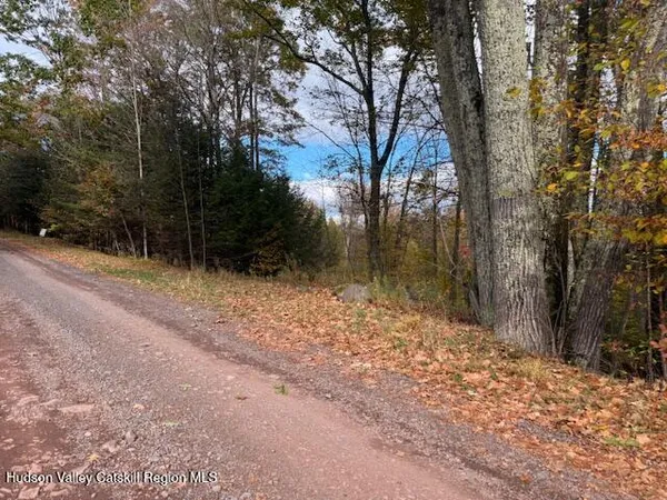 $234,500 | 0 North Ridge Extension, Windham, NY 12496