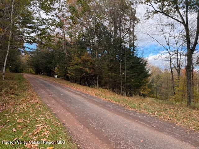 0 North Ridge Extension Windham, NY 12496 - Photo 22 of 28 a pathway of a yard