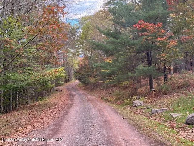 $234,500 | 0 North Ridge Extension, Windham, NY 12496