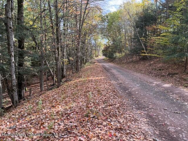 0 North Ridge Extension Windham, NY 12496 - Photo 24 of 28 a view of a forest with trees in the background