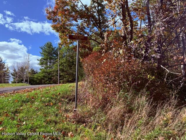 0 North Ridge Extension Windham, NY 12496 - Photo 26 of 28 a view of lush green field