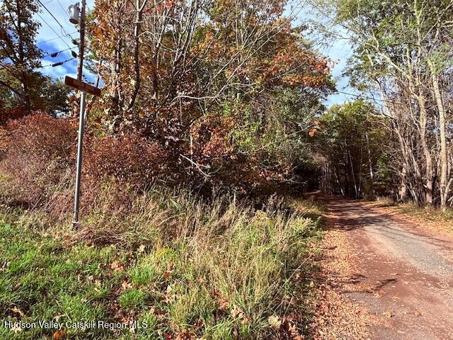 0 North Ridge Extension Windham, NY 12496 - Photo 27 of 28 a view of a yard with trees