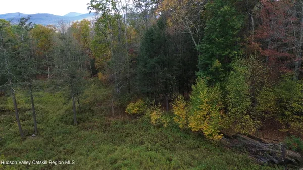 $234,500 | 0 North Ridge Extension, Windham, NY 12496