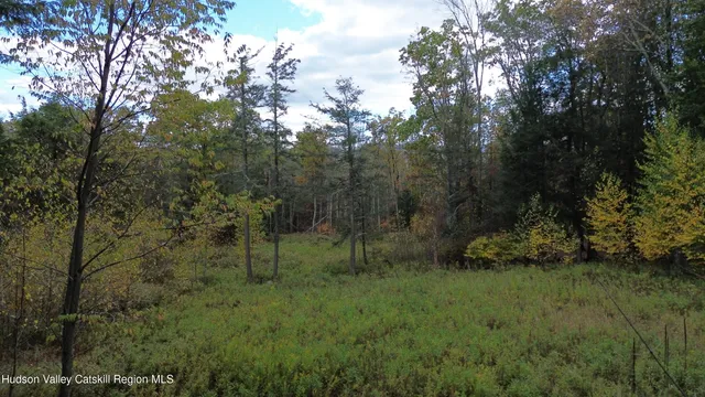 $234,500 | 0 North Ridge Extension, Windham, NY 12496