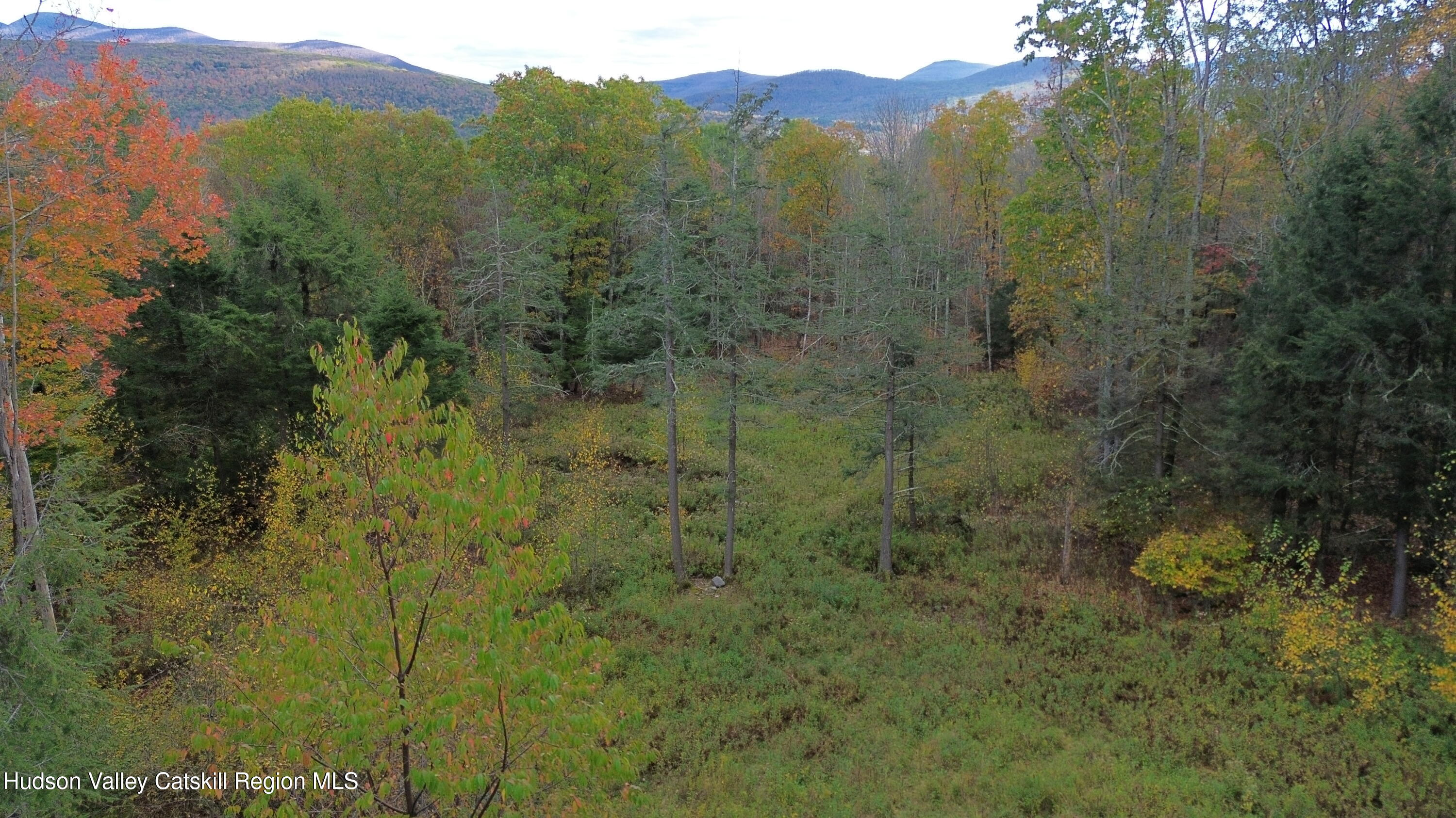0 North Ridge Extension Windham, NY 12496 - Photo 5 of 28 a view of a lush green forest with a mountain