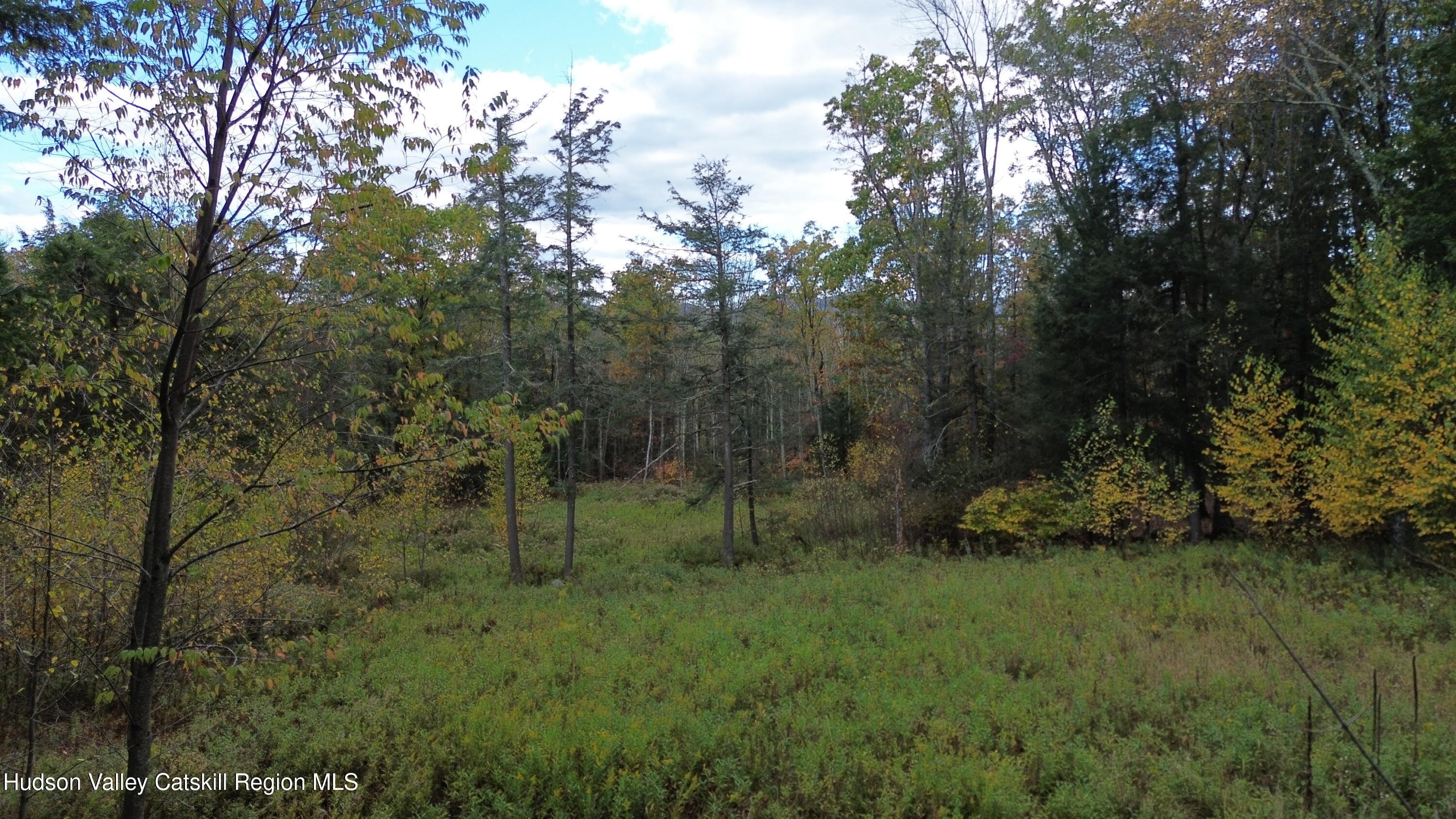 0 North Ridge Extension Windham, NY 12496 - Photo 6 of 28 a view of a lush green forest