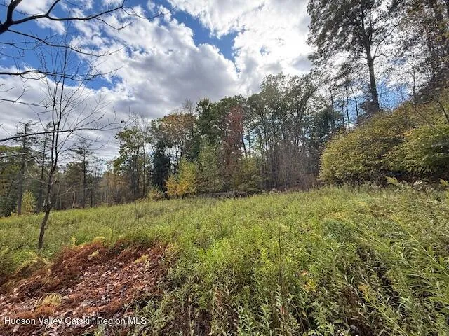 $234,500 | 0 North Ridge Extension, Windham, NY 12496