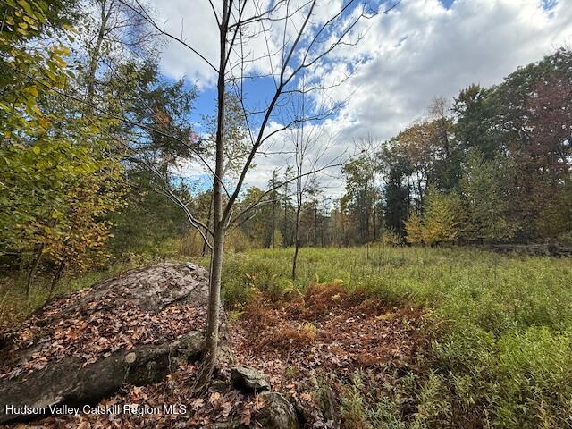 0 North Ridge Extension Windham, NY 12496 - Photo 7 of 28 a view of a yard