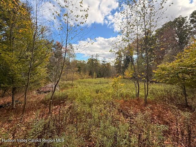 0 North Ridge Extension Windham, NY 12496 - Photo 8 of 28 a view of a yard with large trees
