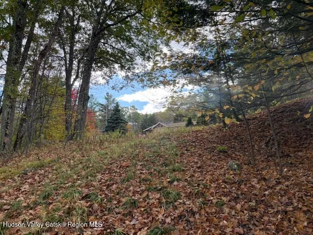 $234,500 | 0 North Ridge Extension, Windham, NY 12496