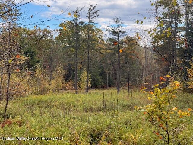 0 North Ridge Extension Windham, NY 12496 - Photo 9 of 28 IMG_0626