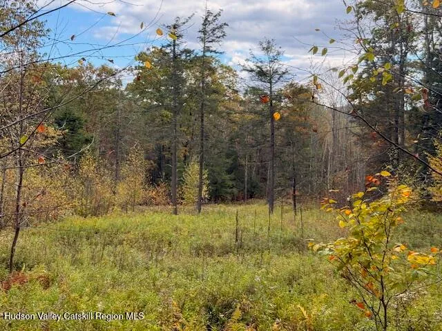 $234,500 | 0 North Ridge Extension, Windham, NY 12496