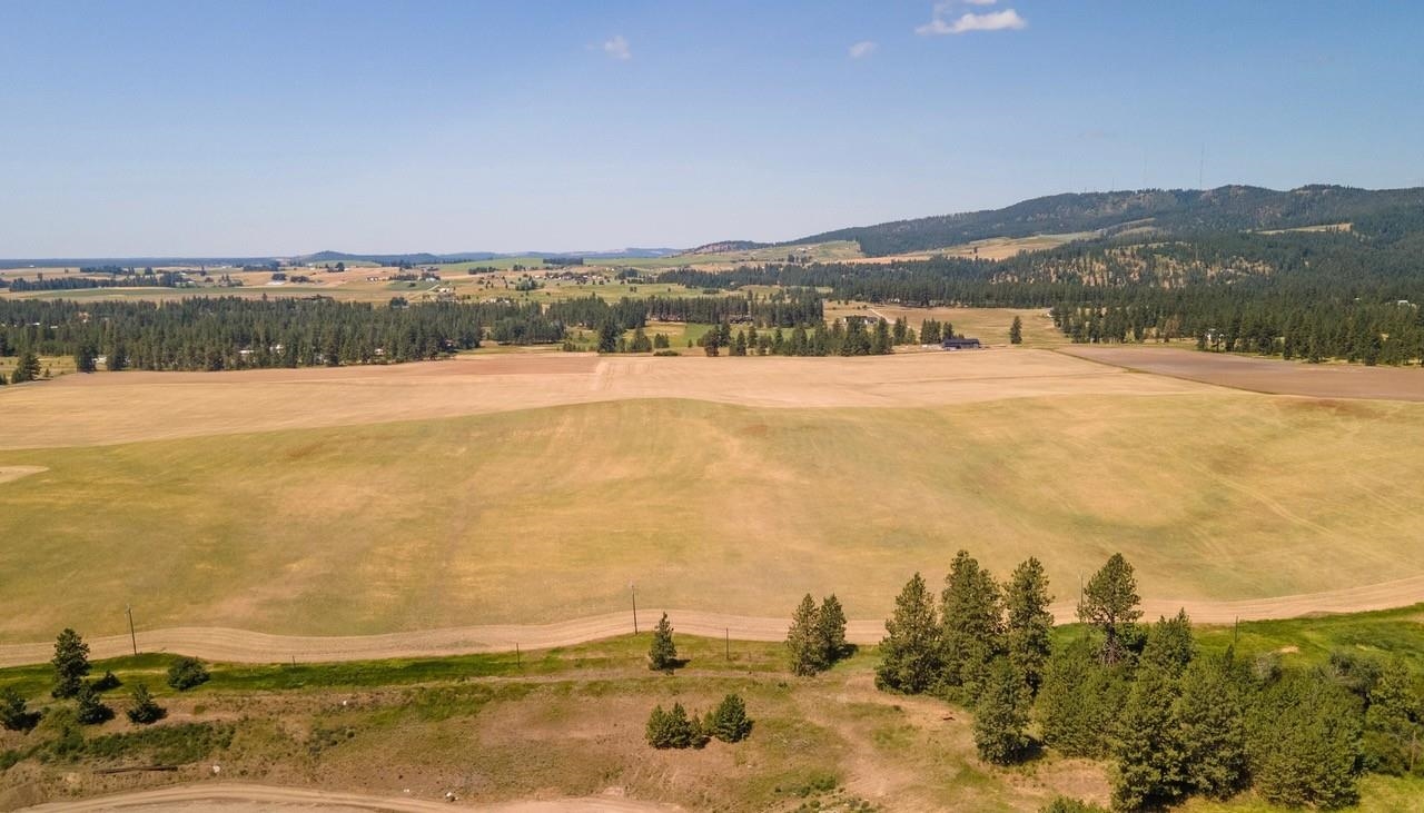 13507 East Gibbs Road Mica, WA 99023 - Photo 6 of 12