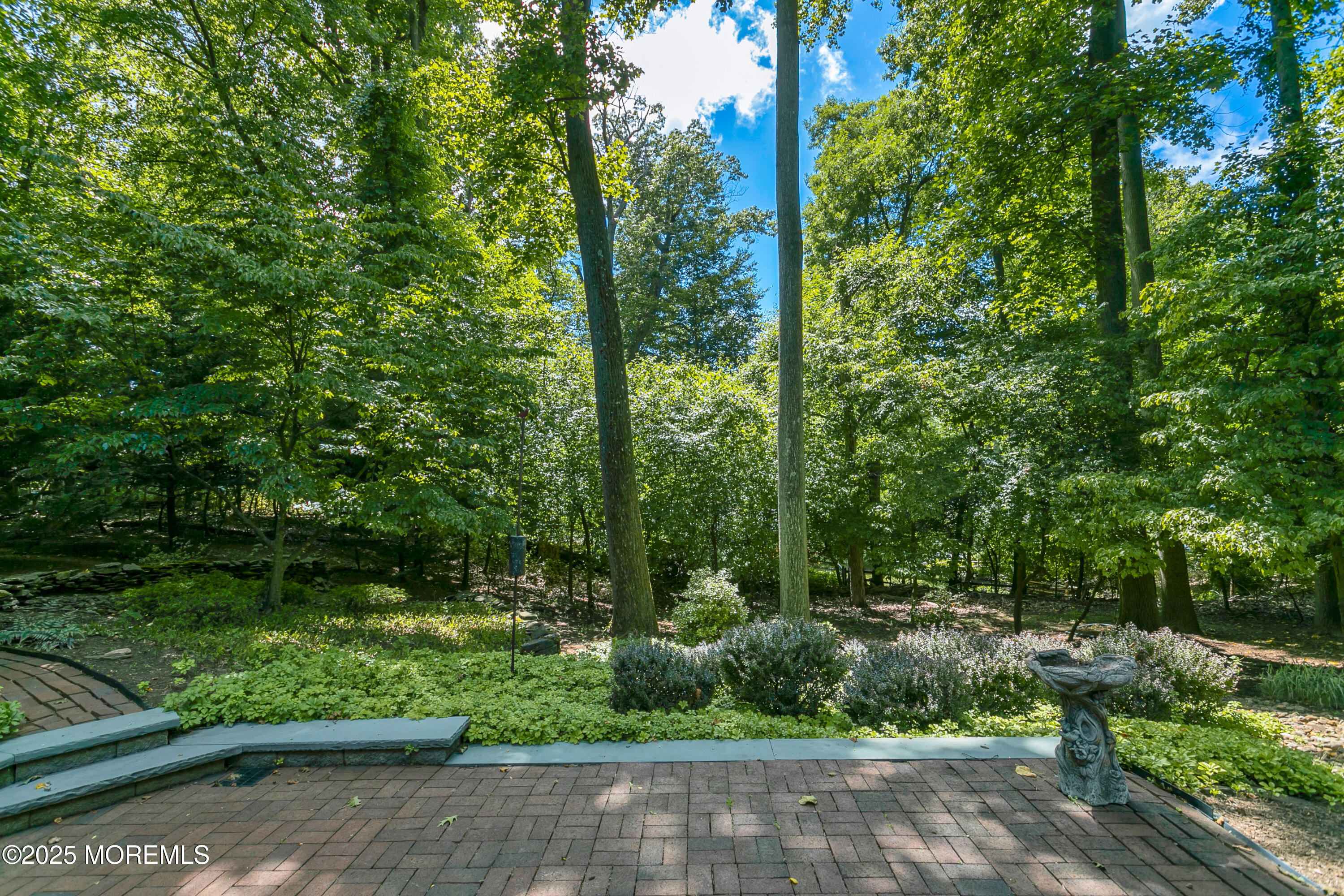 59 Doherty Drive Middletown, NJ 07748 - Photo 43 of 48 a view of a garden with plants and large trees