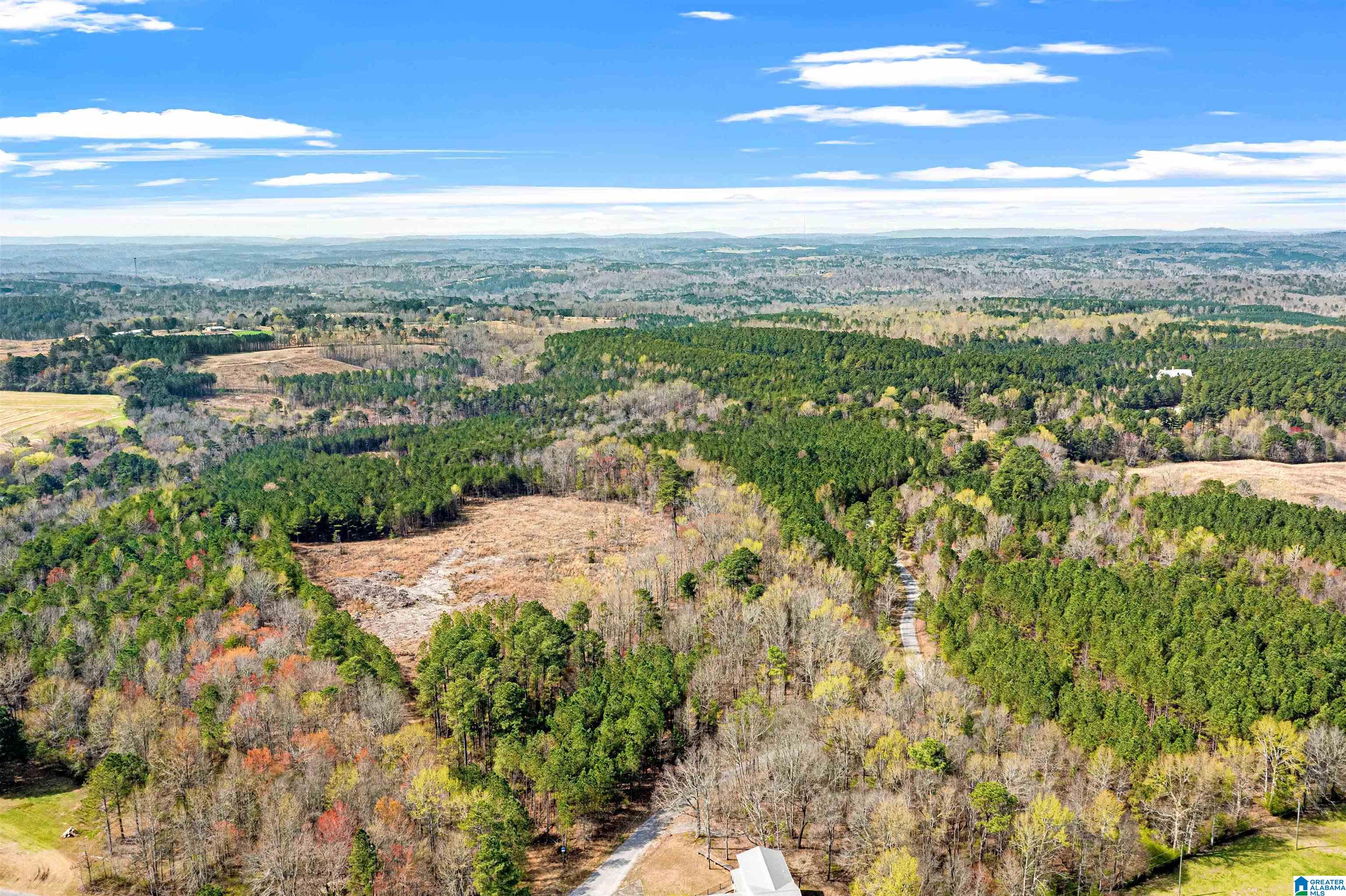 0 Frost Road, Unit 100 / ACRES Springville, AL 35146 - Photo 36 of 60