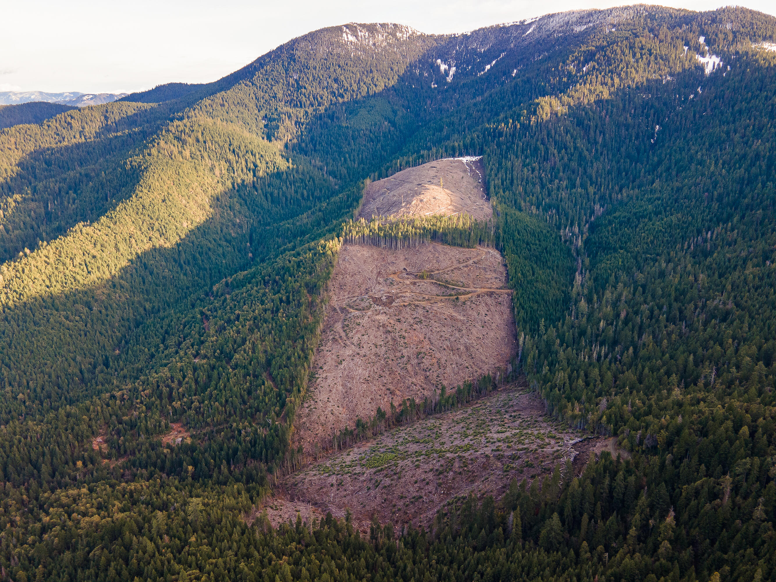 Rock Creek Road Williams, OR 97544 - Photo 1 of 16 Aerial View