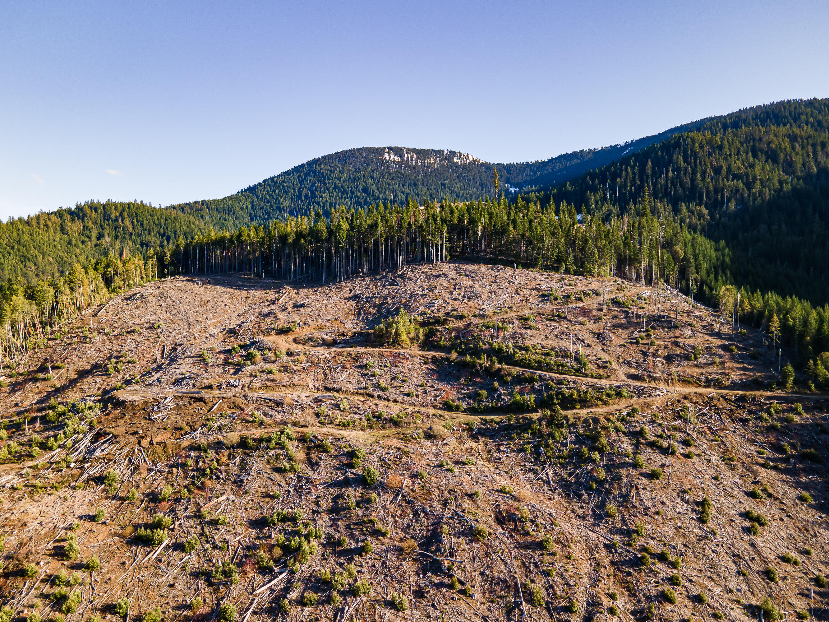 Rock Creek Road Williams, OR 97544 - Photo 12 of 16 1