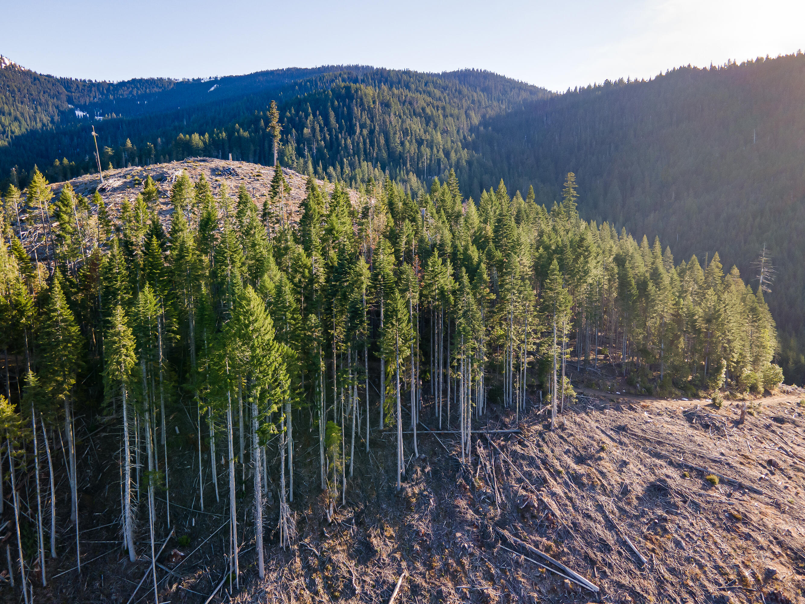 Rock Creek Road Williams, OR 97544 - Photo 13 of 16 6