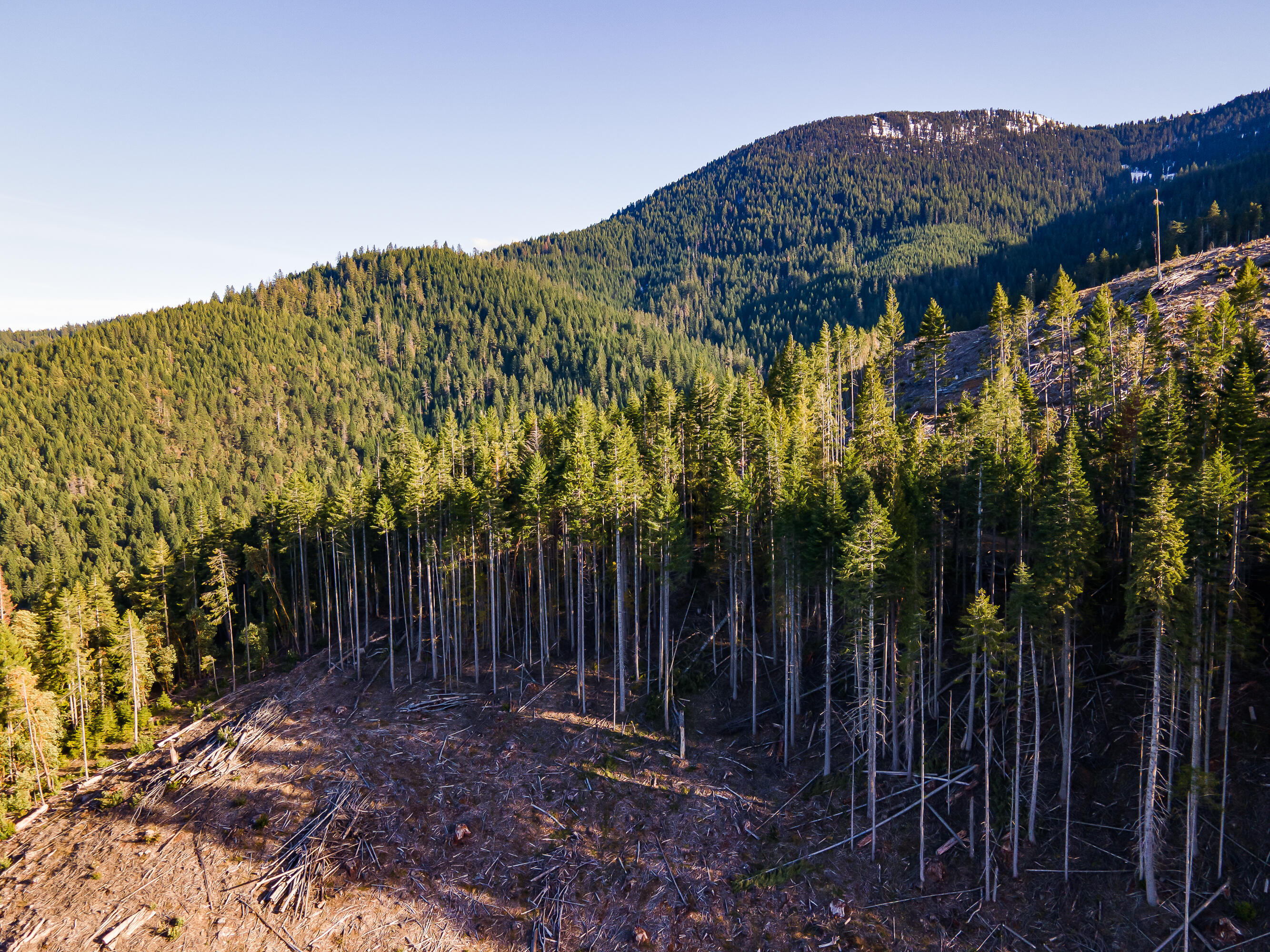 Rock Creek Road Williams, OR 97544 - Photo 14 of 16 7