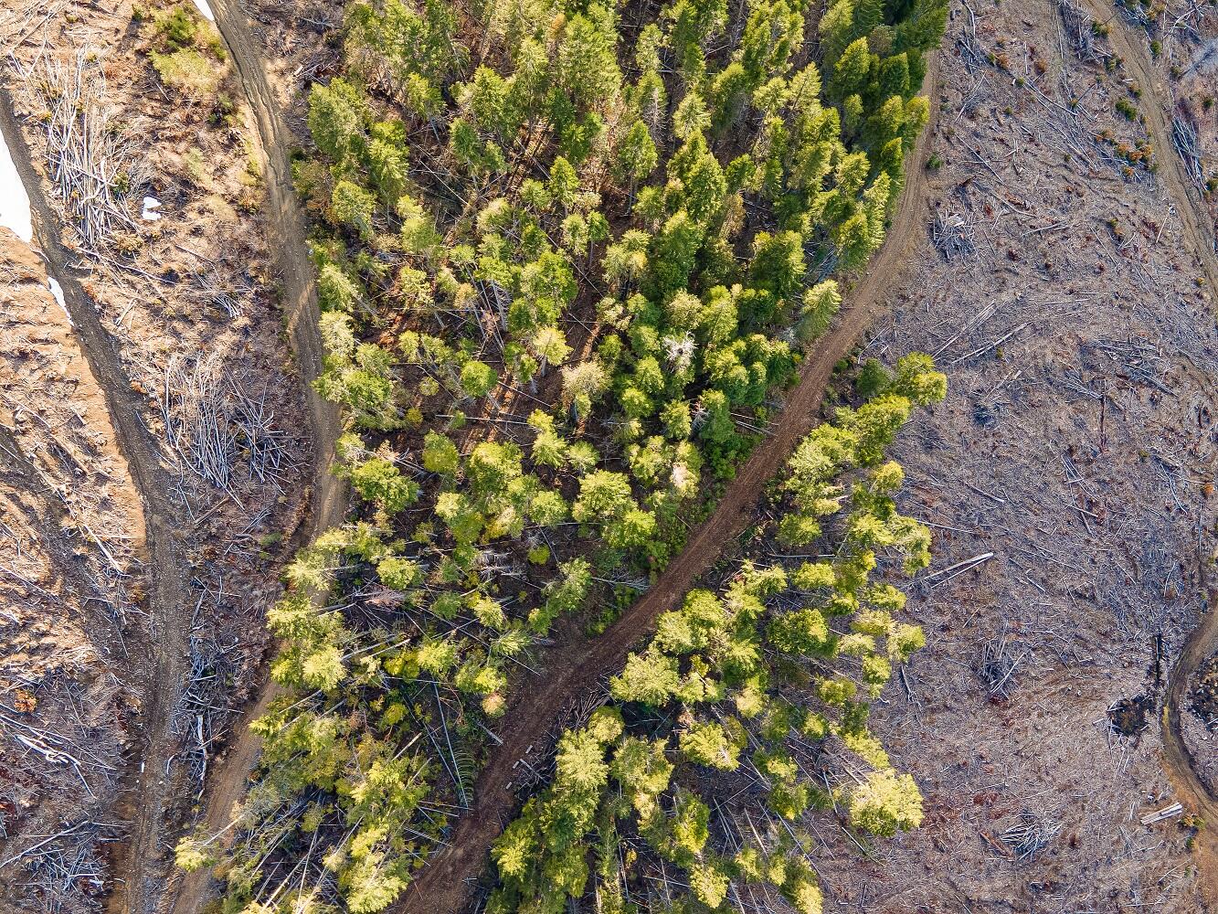 Rock Creek Road Williams, OR 97544 - Photo 15 of 16 DJI_0081HDR01