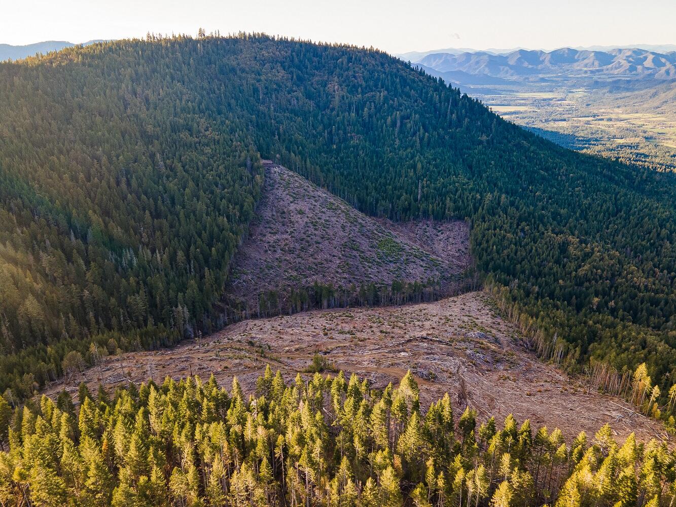 Rock Creek Road Williams, OR 97544 - Photo 16 of 16 DJI_0087HDR01