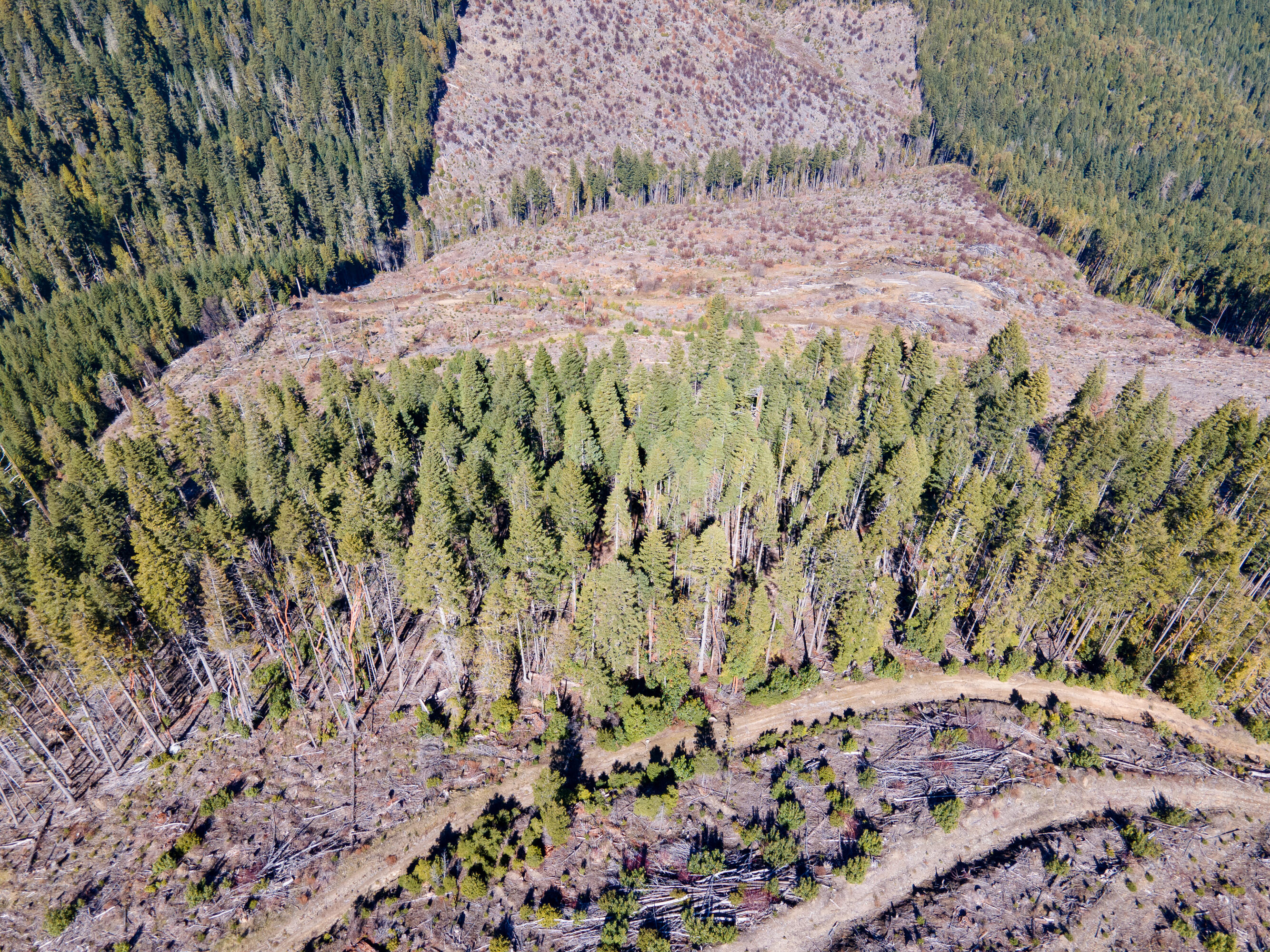 Rock Creek Road Williams, OR 97544 - Photo 8 of 16 DJI_0897HDRMerge
