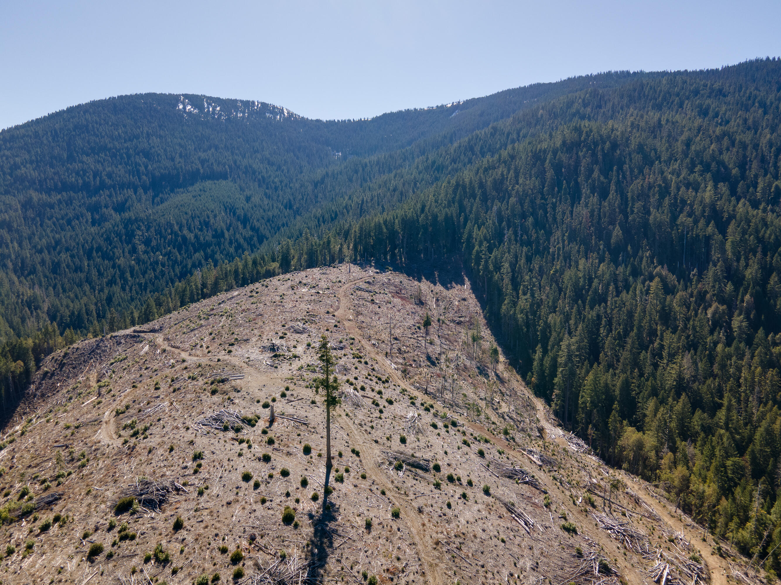 Rock Creek Road Williams, OR 97544 - Photo 9 of 16 DJI_0903HDRMerge