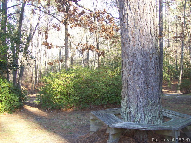 2118 Glebe Road Mathews, VA 23109 - Photo 13 of 22 a view of a yard in a yard