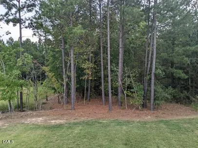 a view of outdoor space and green space