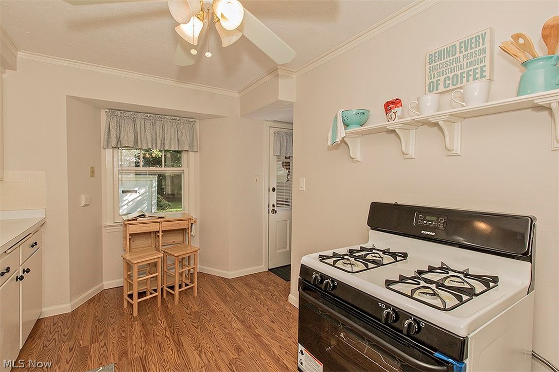 1133 Avondale Road Cleveland, OH 44121 - Photo 6 of 32 Gallery Image 6