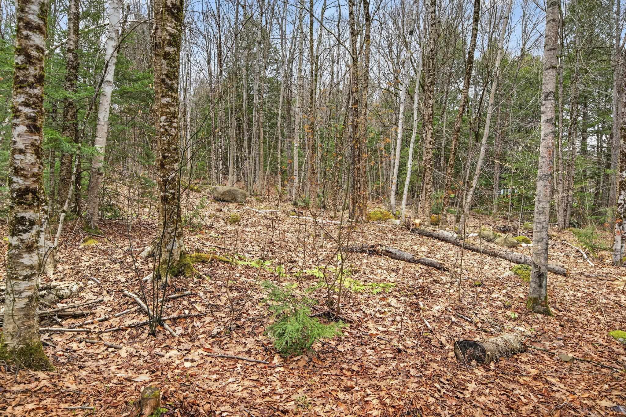 28 Turner Hill Road Antrim, NH 03440 - Photo 47 of 54