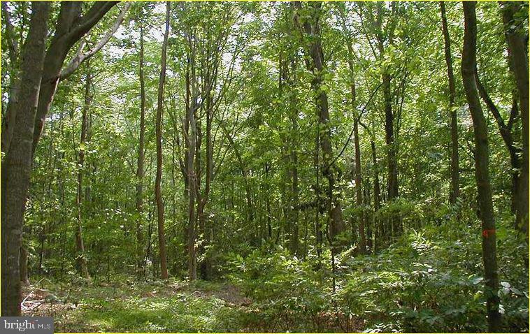 12605 Cedarville Road Brandywine, MD 20613 - Photo 3 of 8