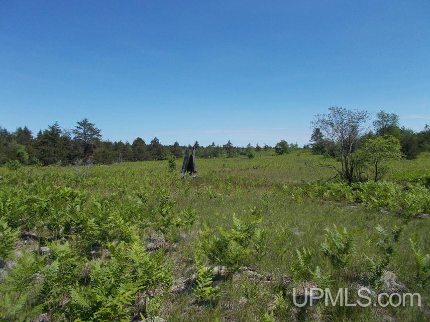Tbd 155 Acres Off Reservoir Dam Road Seney, MI 49883 - Photo 13 of 23