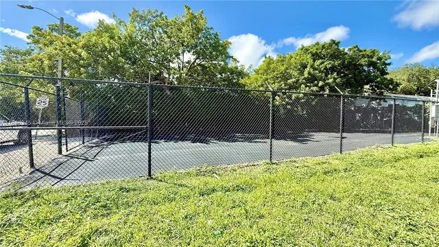 a backyard of a house with palm tree