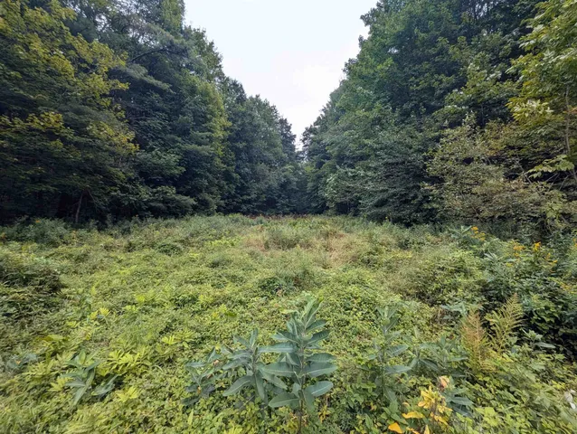 $1,249,950 | 187 East Hill Road, Woodbury, VT 05658