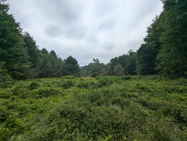 $1,249,950 | 187 East Hill Road, Woodbury, VT 05658