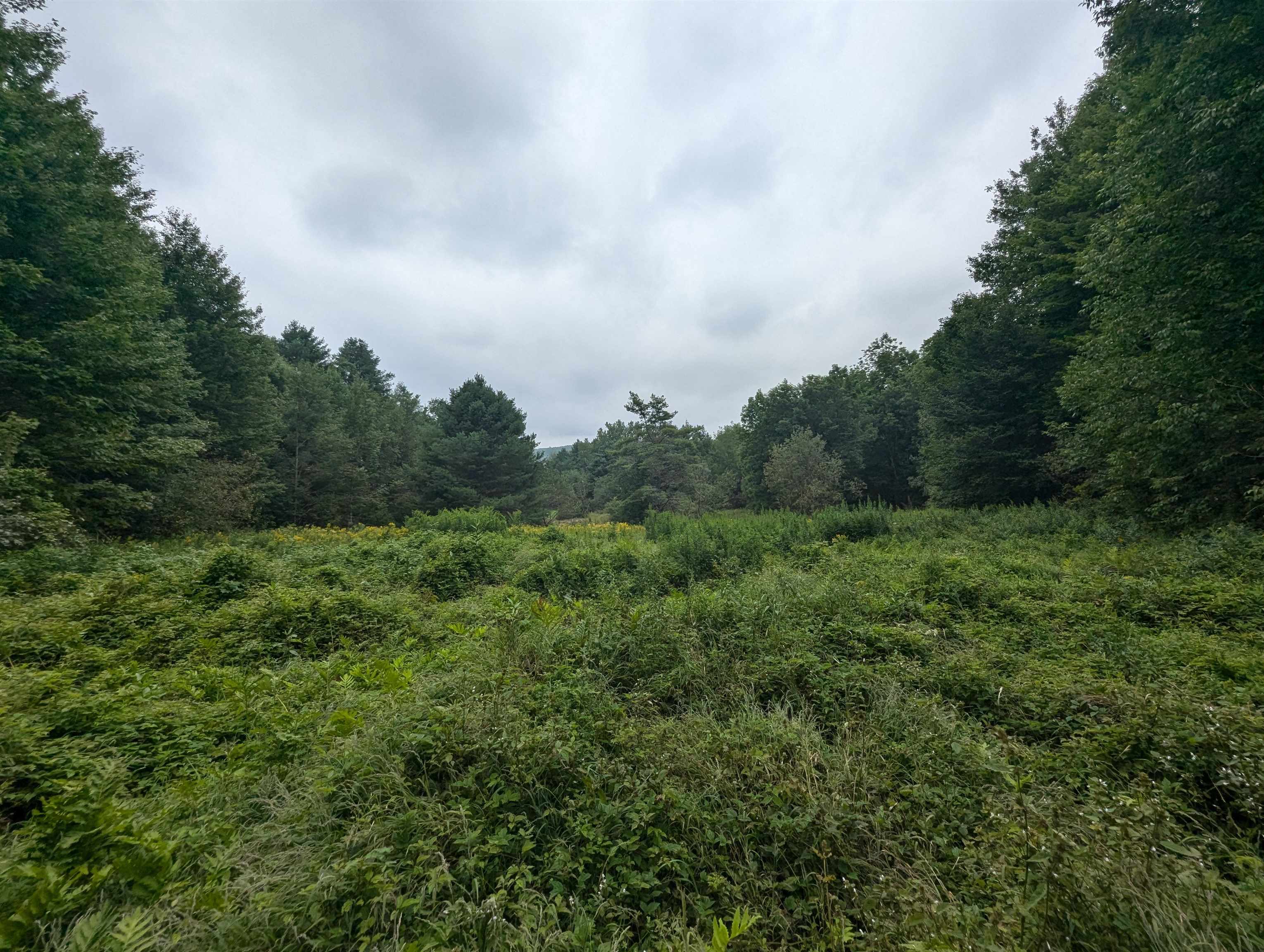 187 East Hill Road Marshfield, VT 05658 - Photo 52 of 52