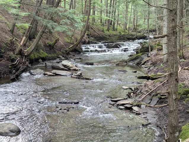 $1,249,950 | 187 East Hill Road, Woodbury, VT 05658