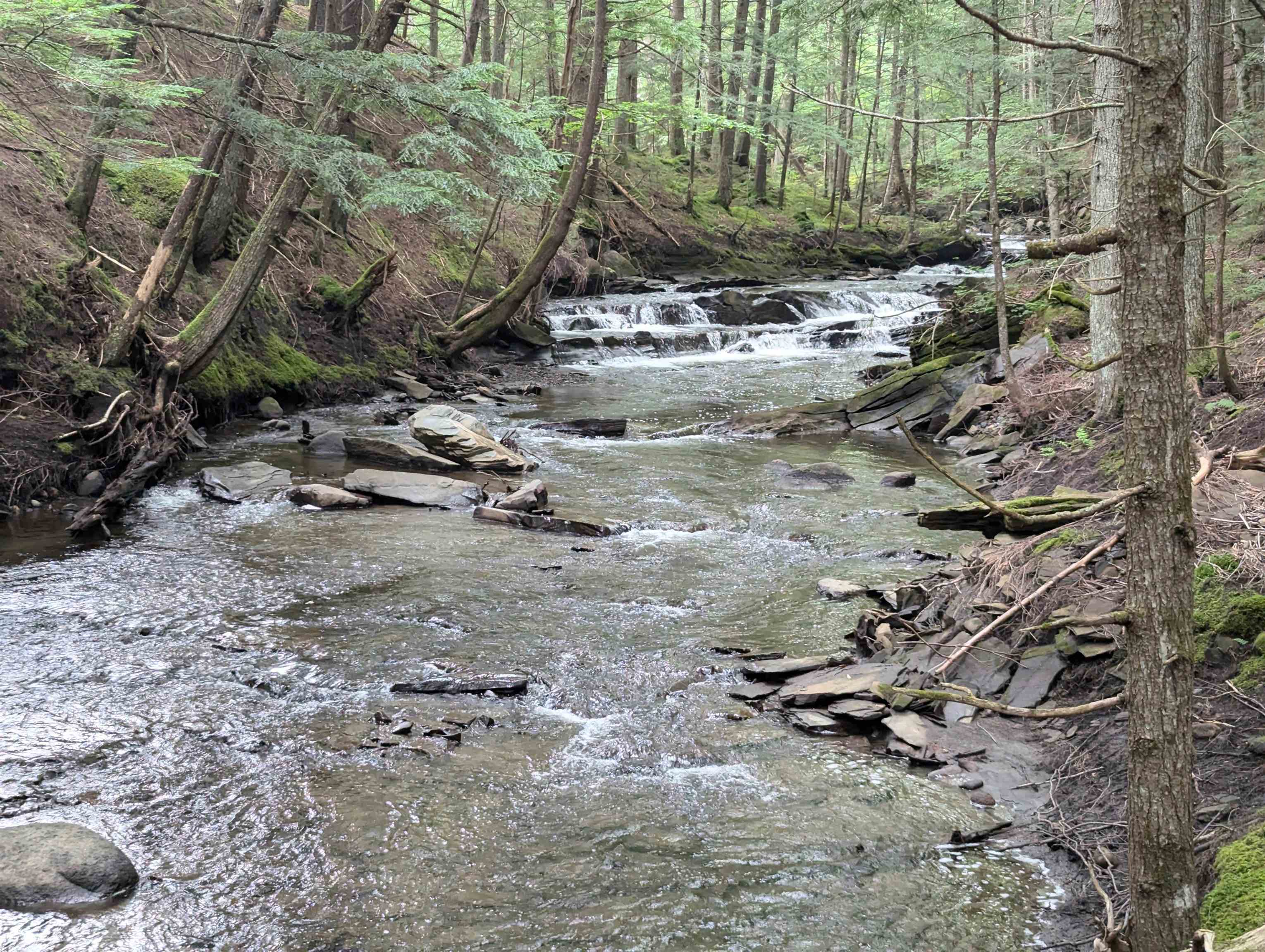 187 East Hill Road Marshfield, VT 05658 - Photo 7 of 52