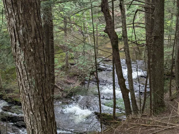 $1,249,950 | 187 East Hill Road, Marshfield, VT 05658