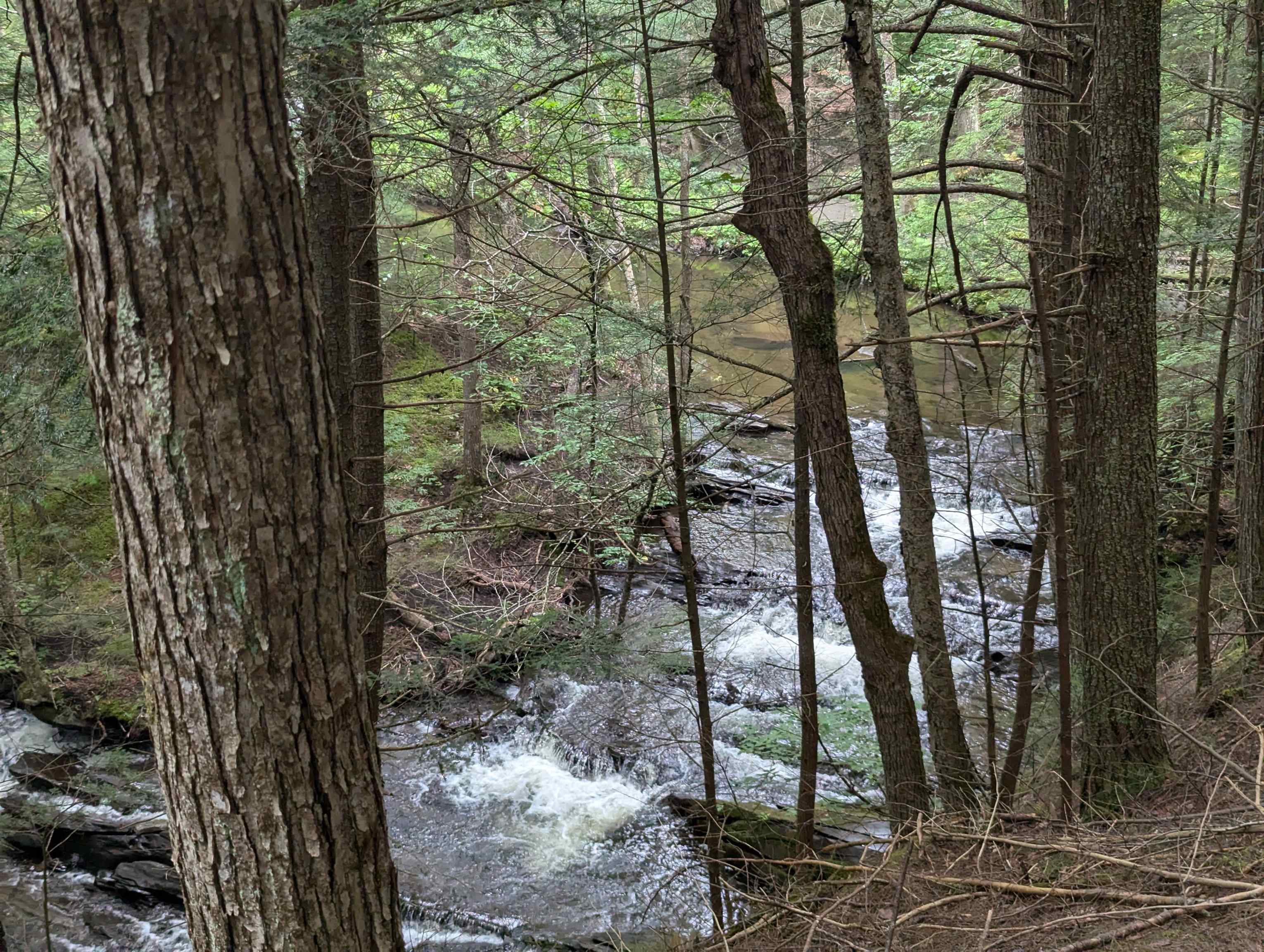 187 East Hill Road Marshfield, VT 05658 - Photo 8 of 52