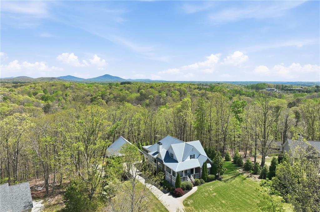 139 Buckeye Ridge East Dahlonega, GA 30533 - Photo 42 of 50