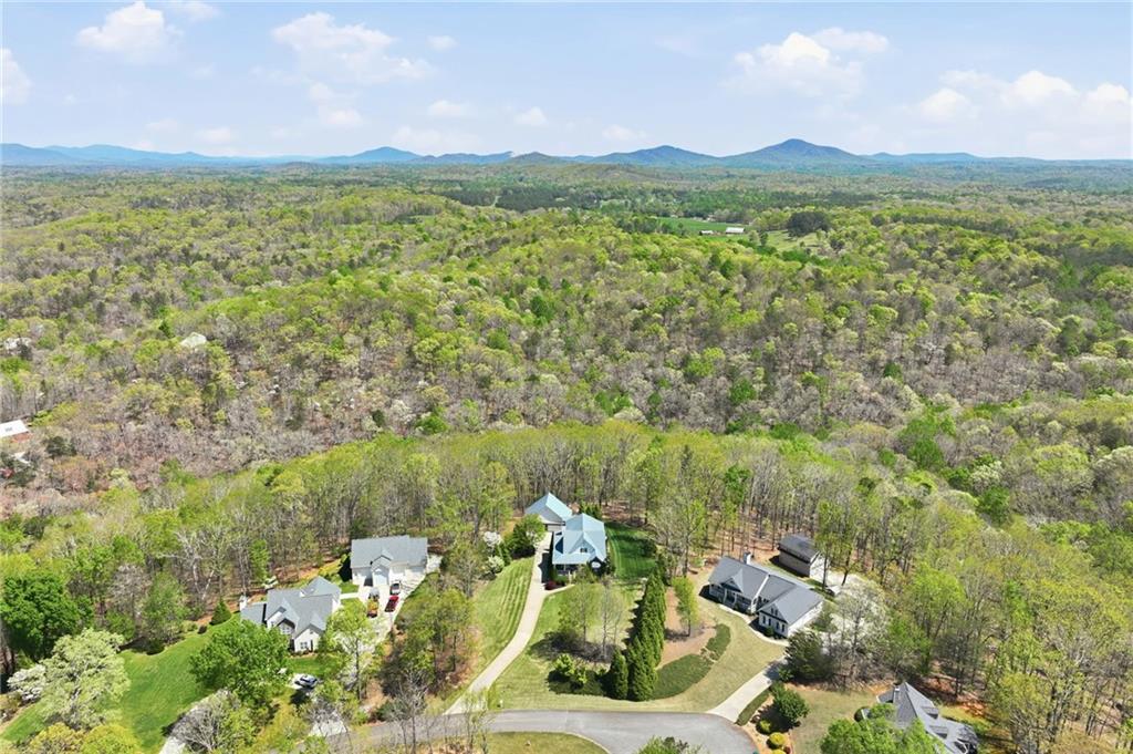 139 Buckeye Ridge East Dahlonega, GA 30533 - Photo 44 of 50