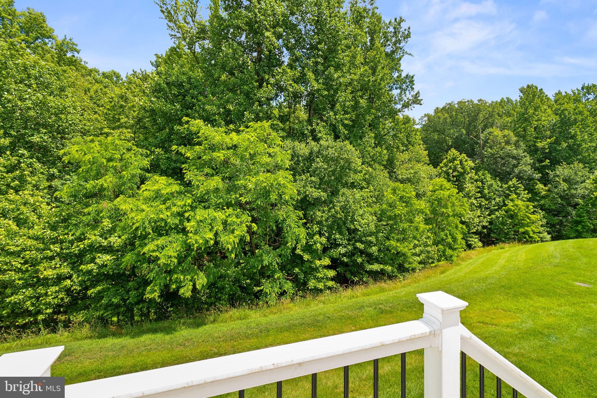 1567 Rutland Way Hanover, MD 21076 - Photo 21 of 49 Rear View Community Green Space
