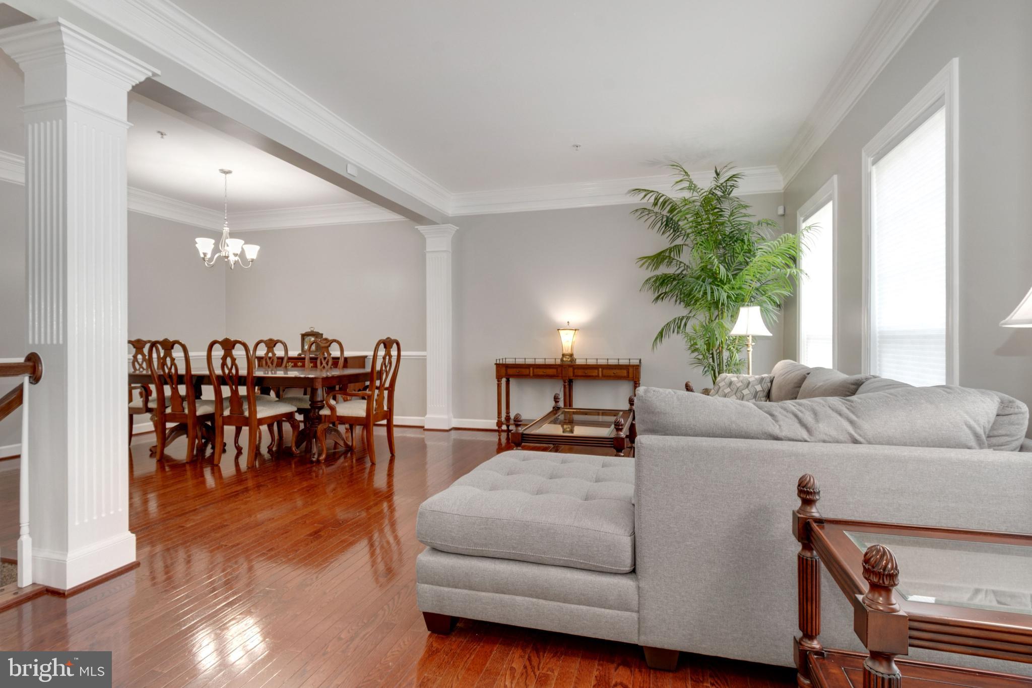 1567 Rutland Way Hanover, MD 21076 - Photo 4 of 49 Living Room