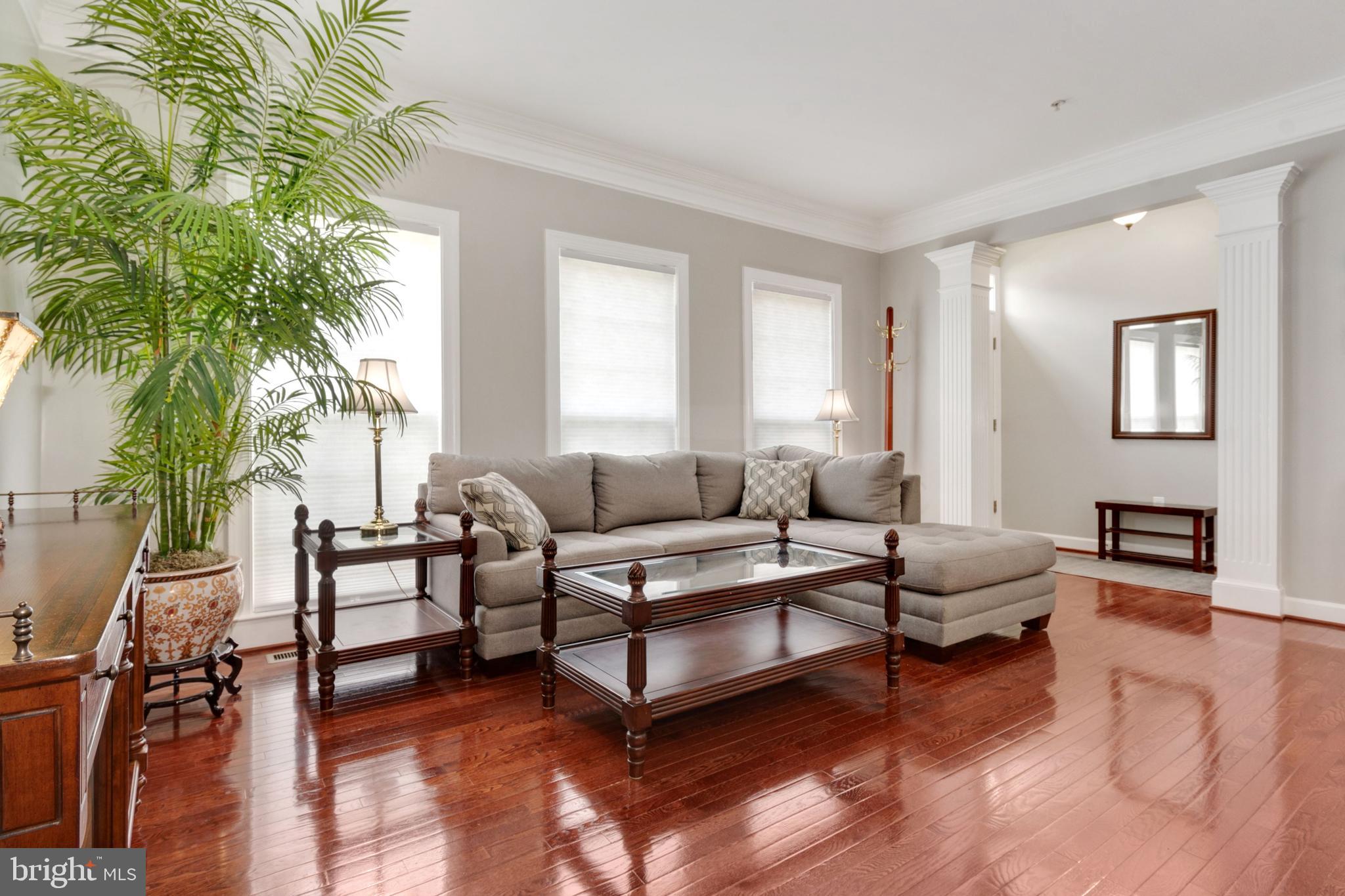 1567 Rutland Way Hanover, MD 21076 - Photo 5 of 49 Living Room