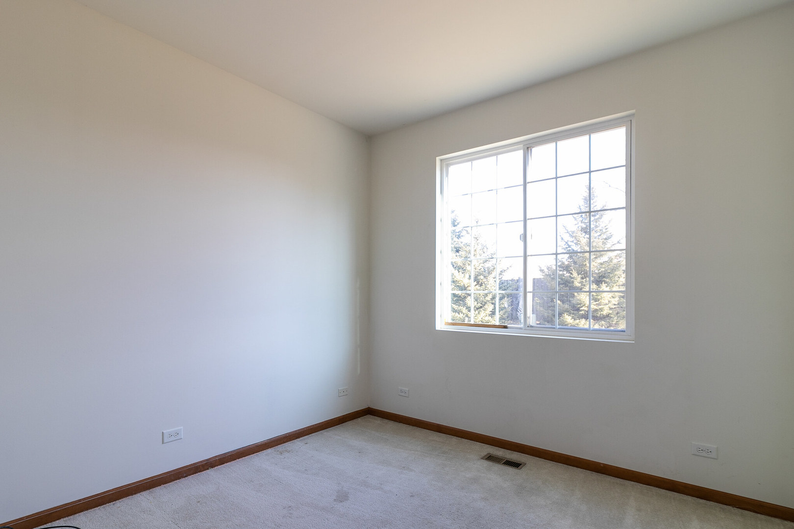 965 Brahms Road Volo, IL 60073 - Photo 12 of 30